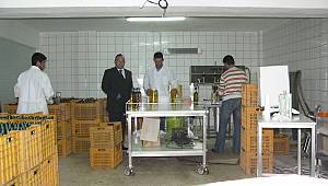 “Y’ağlamıyorum, Gözüme Zeytinyağı Kaçtı” 