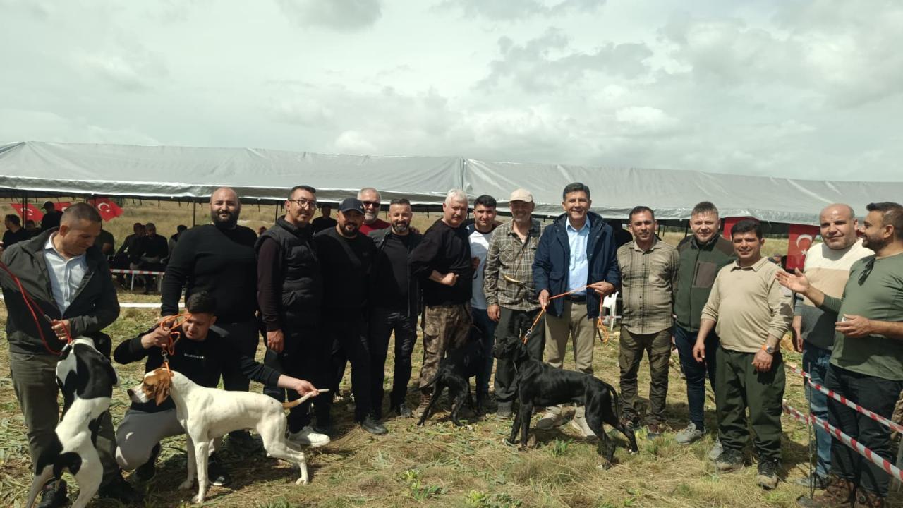 En güzel avcı köpekleri seçildi