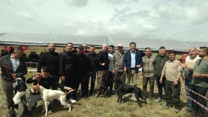 En güzel avcı köpekleri seçildi