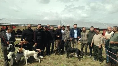 En güzel avcı köpekleri seçildi