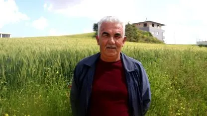Buğdayda yüzler gülecek